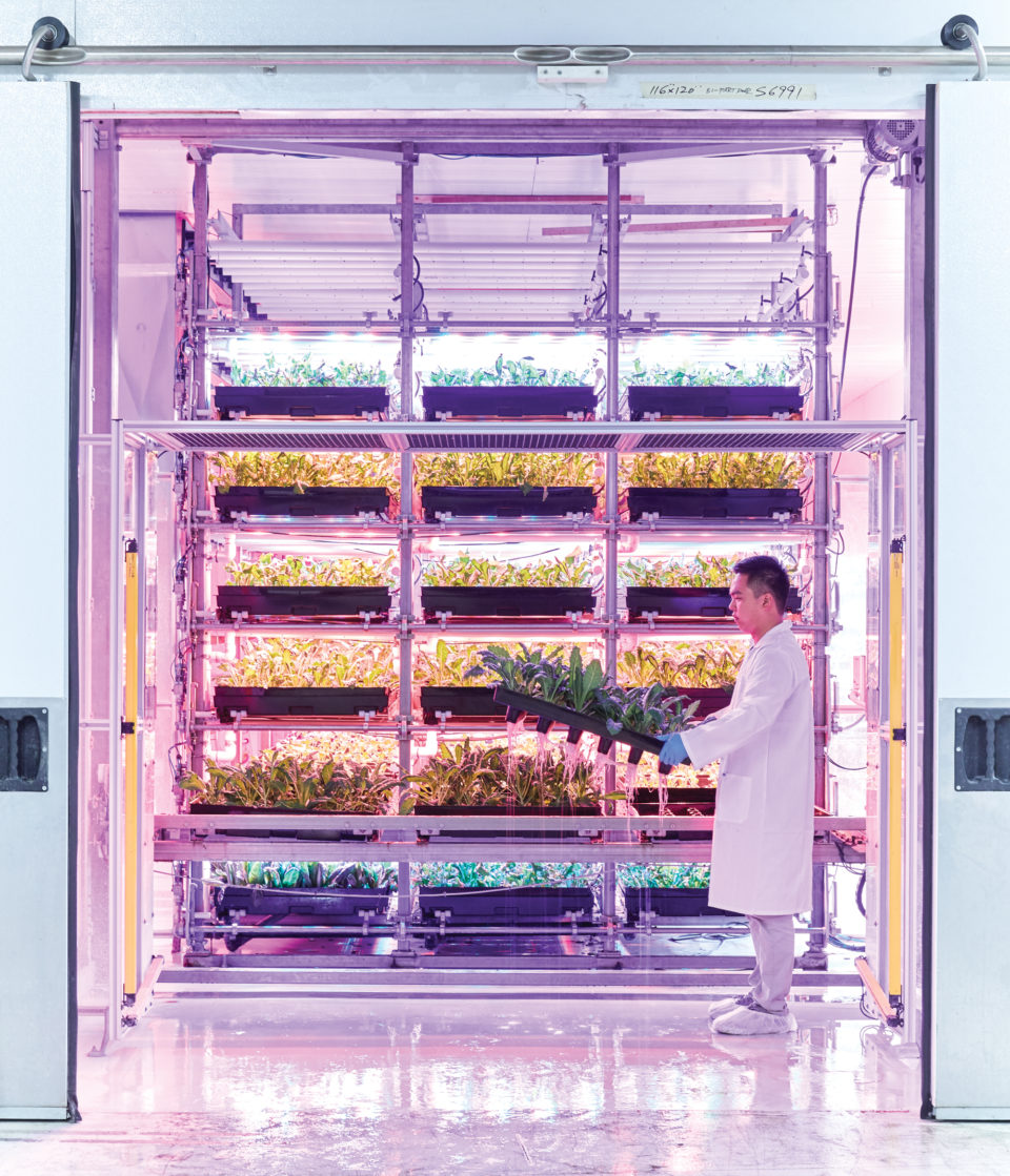 Revolutionizing the way food is grown
